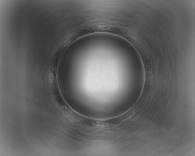 X0000070220746200605261317