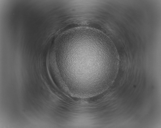 X0000070220747200605261317