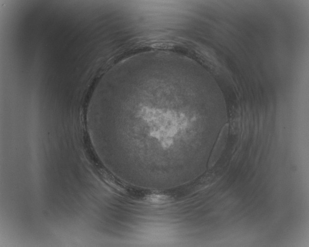 X0000070220748200605261317