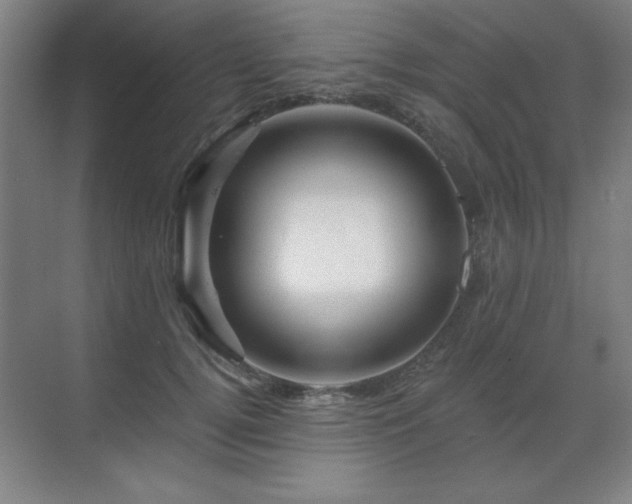 X0000070220752200605261317
