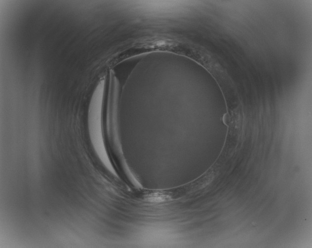 X0000070220754200605261317