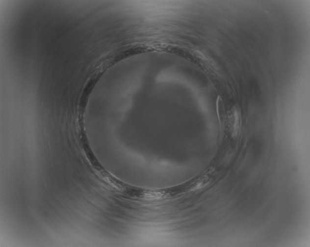 X0000070220757200605261318
