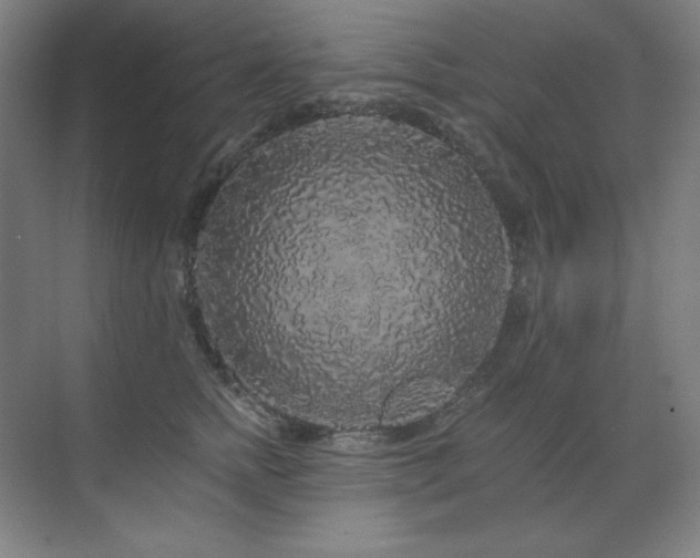 X0000070220758200605261318