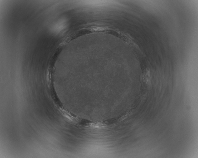 X0000070220763200605261318