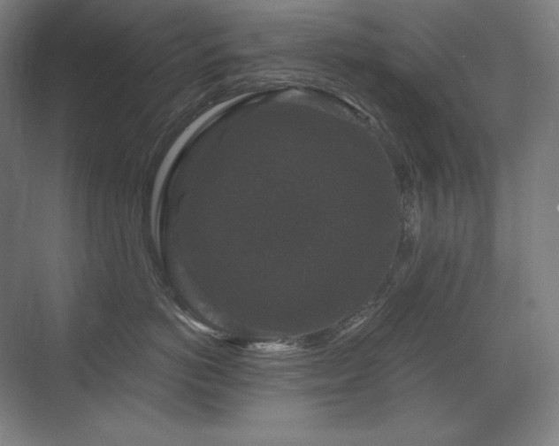 X0000070220766200605261318