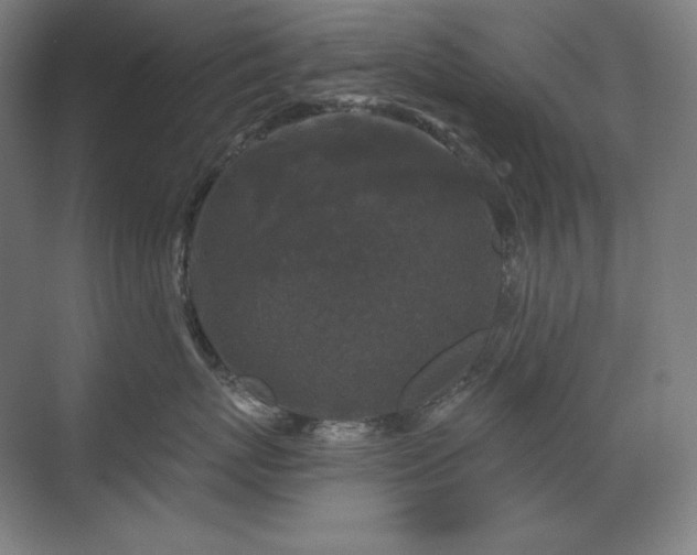 X0000070220767200605261318