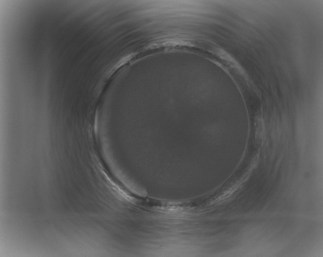 X0000070220785200605261317