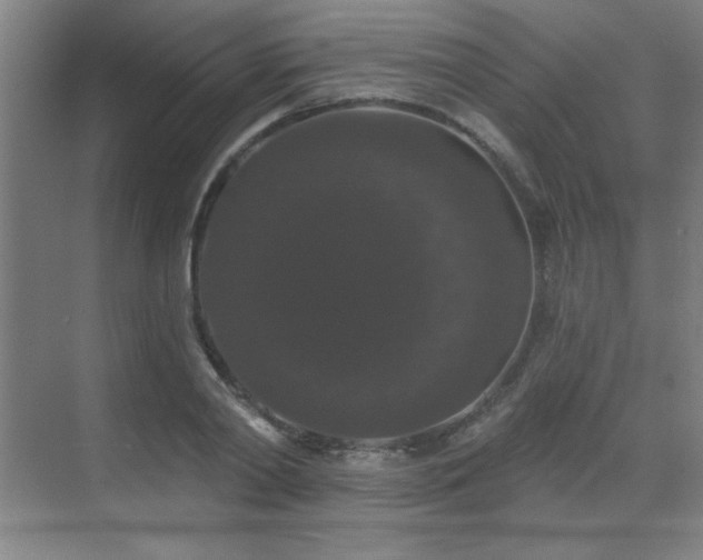 X0000070220790200605261317