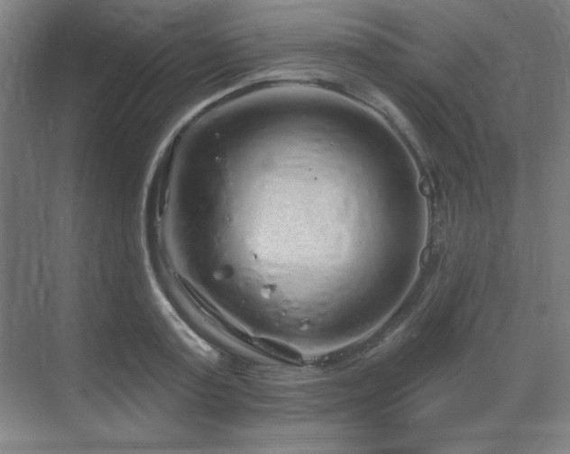 X0000070220795200605261316