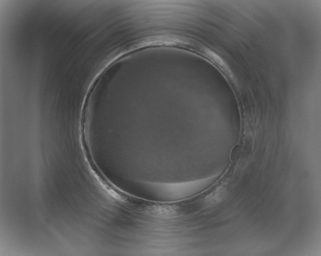 X0000070220802200605261316
