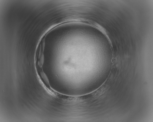 X0000070220811200605261316