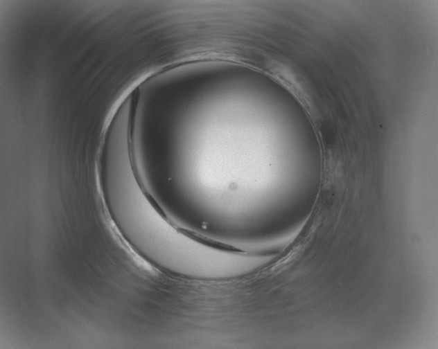 X0000070220812200605261316