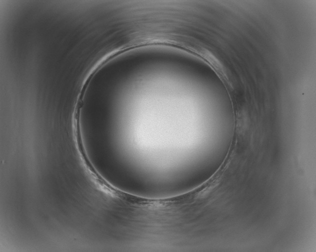 X0000070220814200605261316