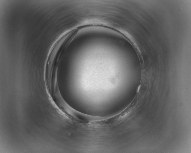 X0000070220815200605261316
