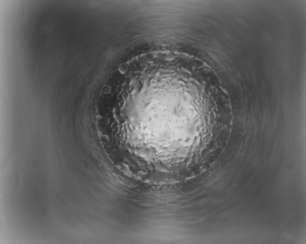 X0000070220817200605261315