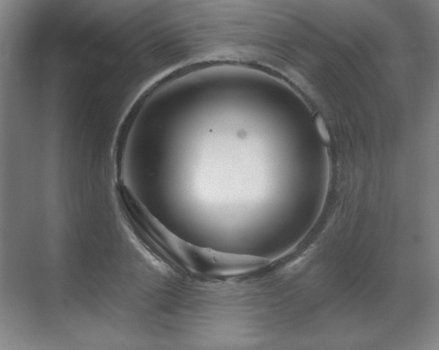 X0000070220838200605261316