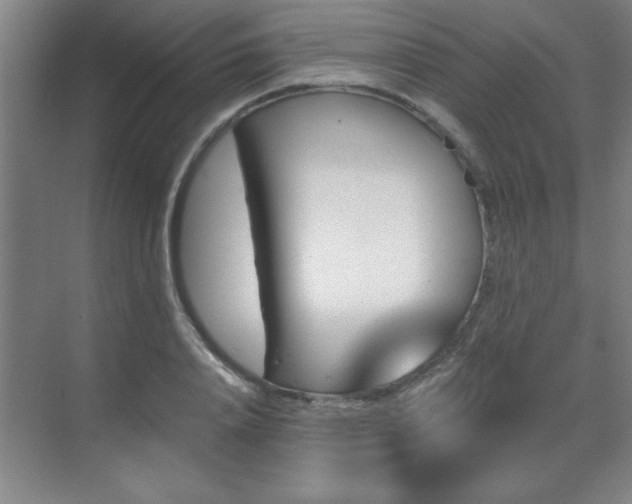X0000070220840200605261316