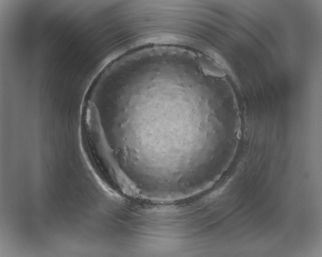 X0000070220845200605261316