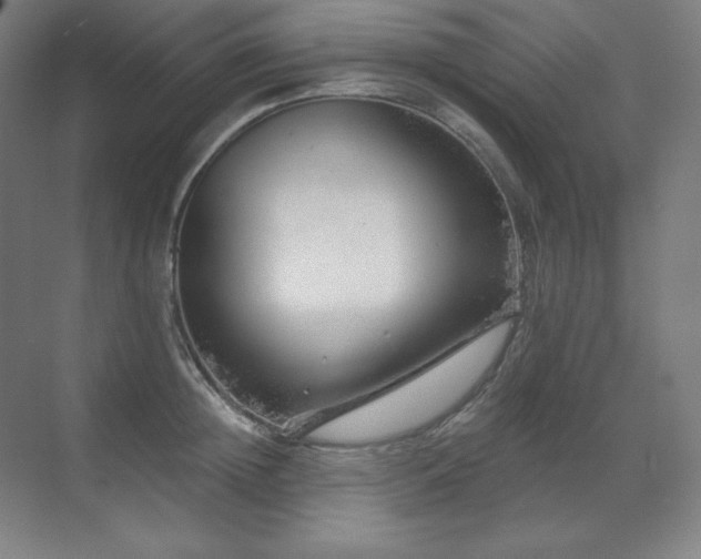 X0000070220852200605261316