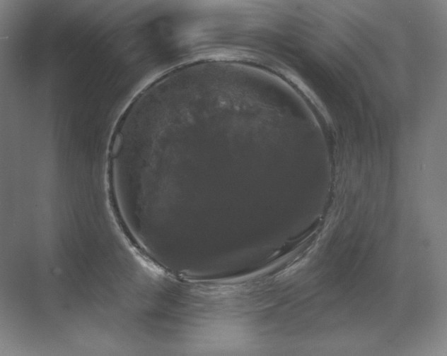X0000070220853200605261316