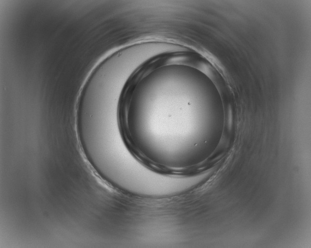 X0000070220854200605261316