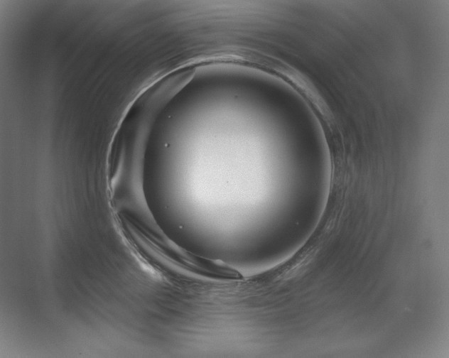X0000070220858200605261316