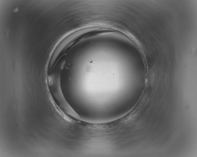 X0000070220862200605261316