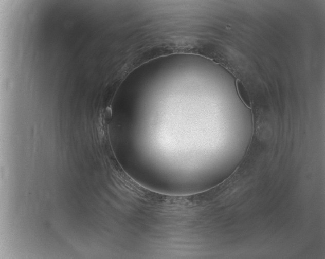 X0000070220866200605261315