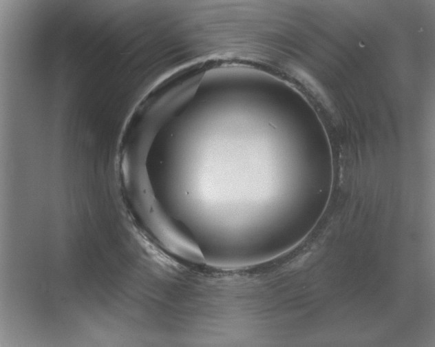 X0000070220876200605261315