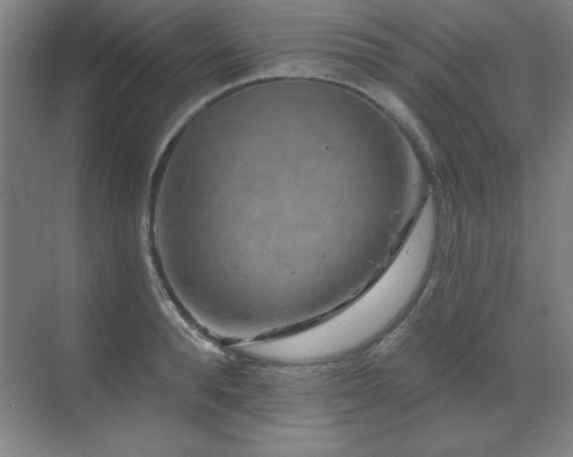 X0000070220896200605261315