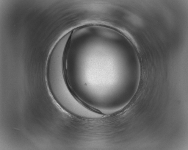 X0000070220903200605261315