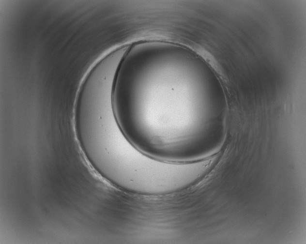 X0000070220904200605261315