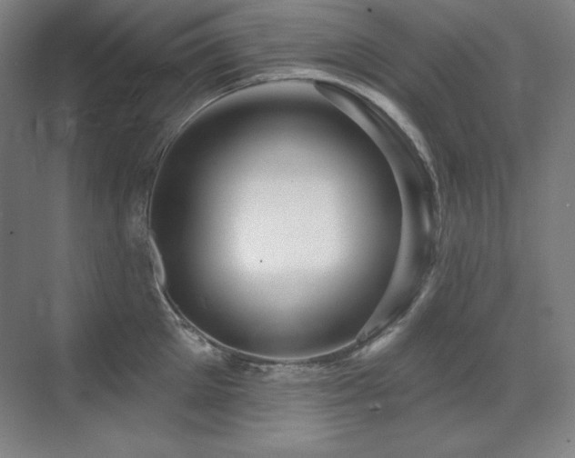 X0000070220905200605261315