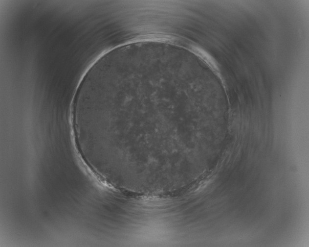 X0000070220907200605261315