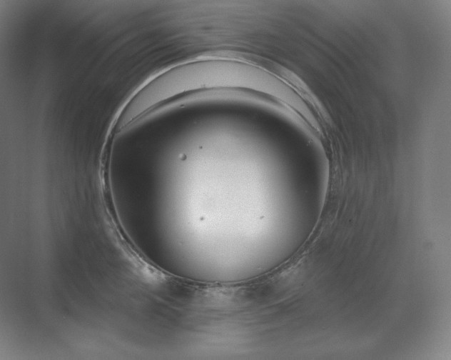 X0000070220908200605261315