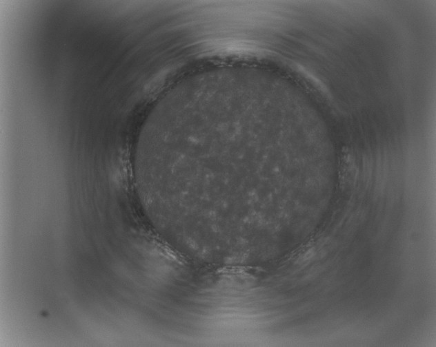 X0000070220918200605261314
