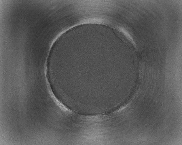 X0000070220944200605261314