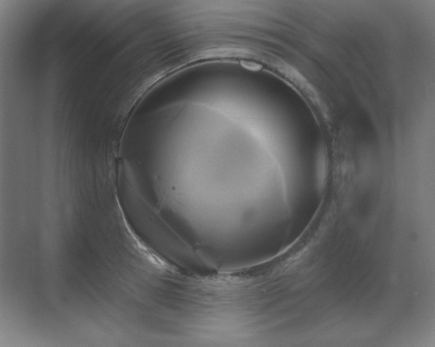 X0000070220945200605261314
