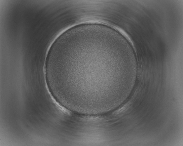 X0000070220951200605261314