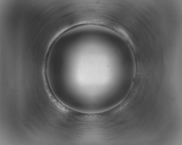 X0000070220952200605261314