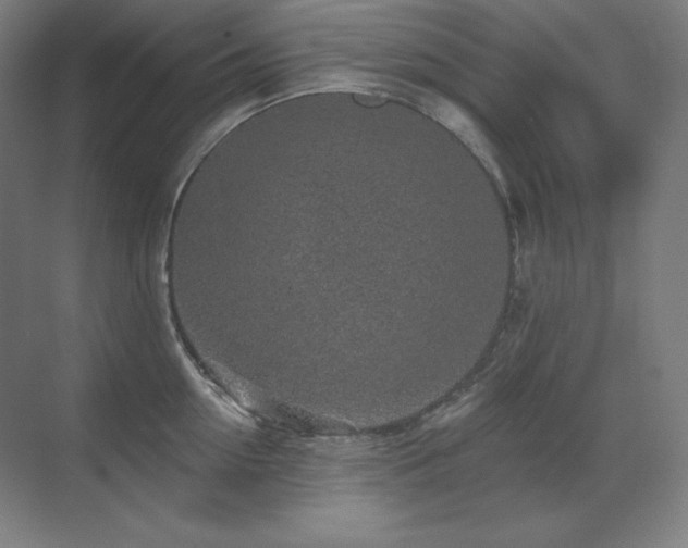 X0000070220954200605261314