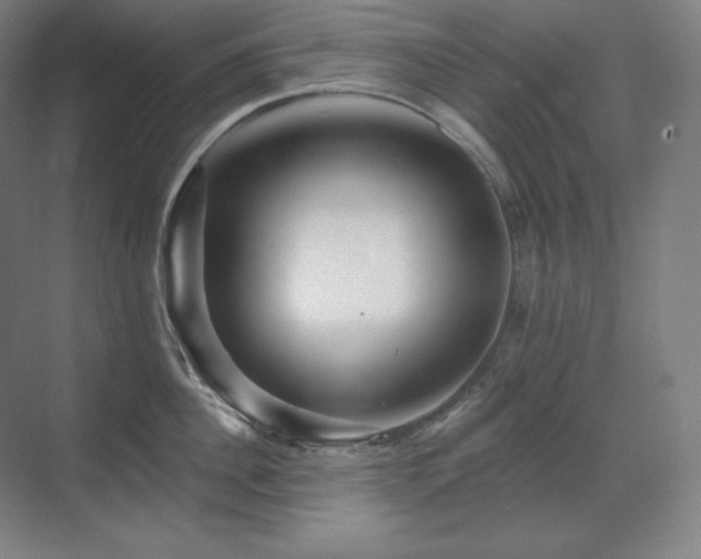 X0000070220956200605261314