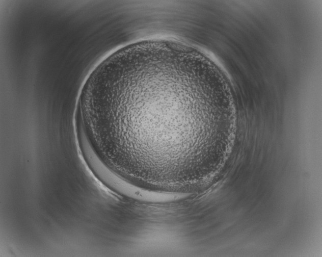 X0000070220959200605261314