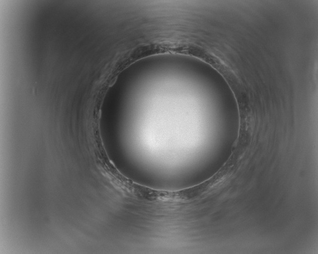 X0000070220961200605261314