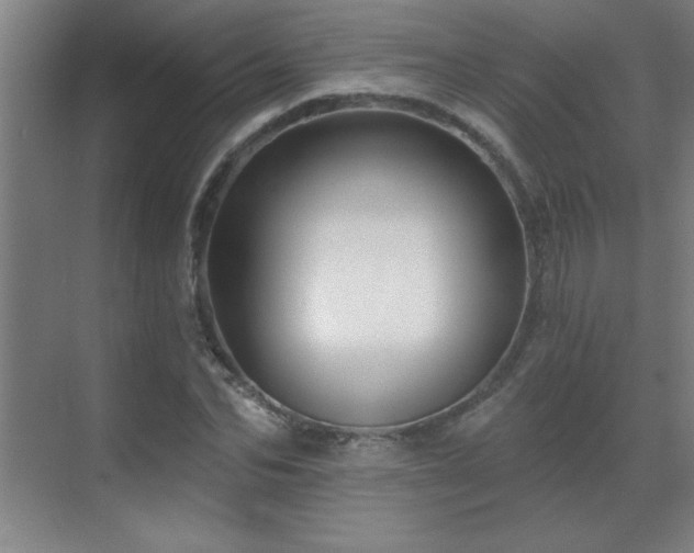X0000070220974200605261313