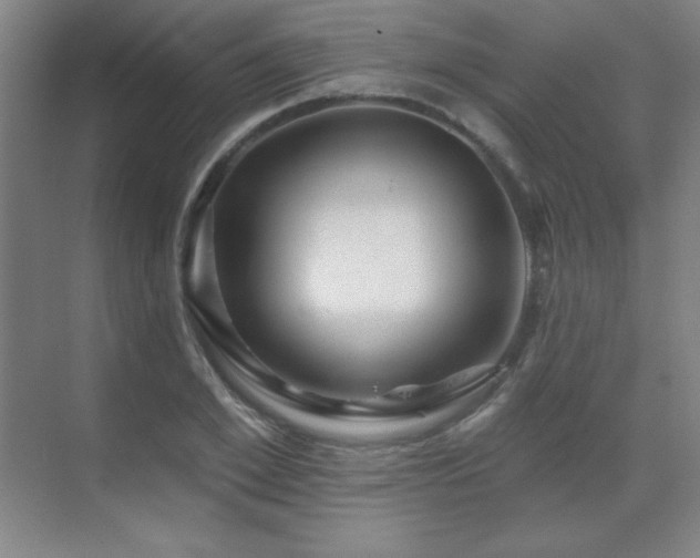 X0000070220981200605261313