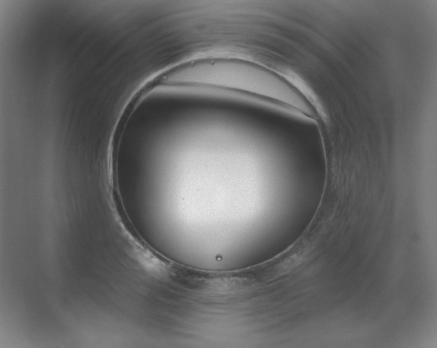 X0000070220988200605261313