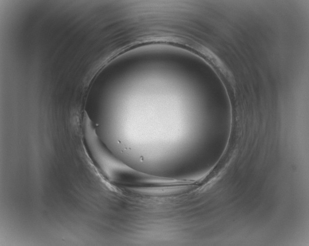 X0000070220993200605261313