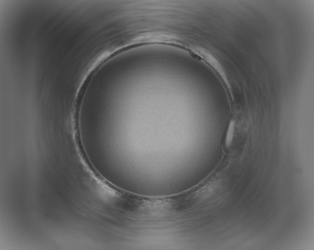 X0000070220997200605261313