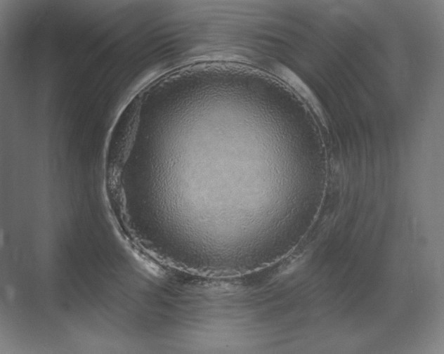X0000070221002200605261313